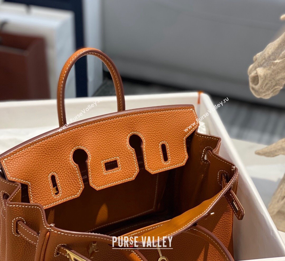 Hermes Birkin 25cm Bag in Togo Calfskin Brown/Gold 2022 (FL-22031549)