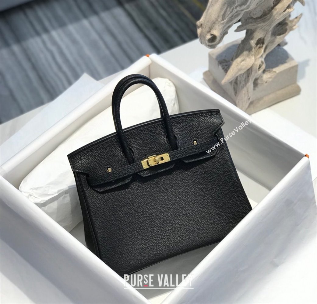 Hermes Birkin 25cm Bag in Togo Calfskin Black/Gold 2022 (FL-22031551)