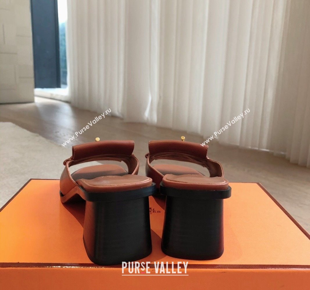 Hermes Ilot Heel Slides Sandal 5cm in Calfskin with Glenan Buckle Brown 2024 (XC-240703046)