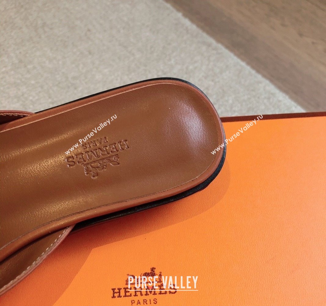 Hermes Isle Flat Slides Sandal in Calfskin with Glenan Buckle Brown 2024 (XC-240703042)