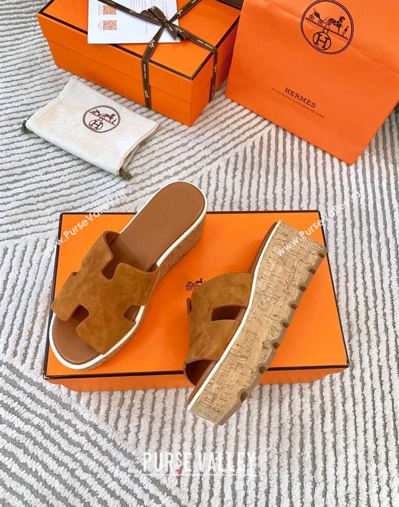 Hermes Eze 30 Platform Slides Sandal in Suede Brown 2024 (MD-240703053)