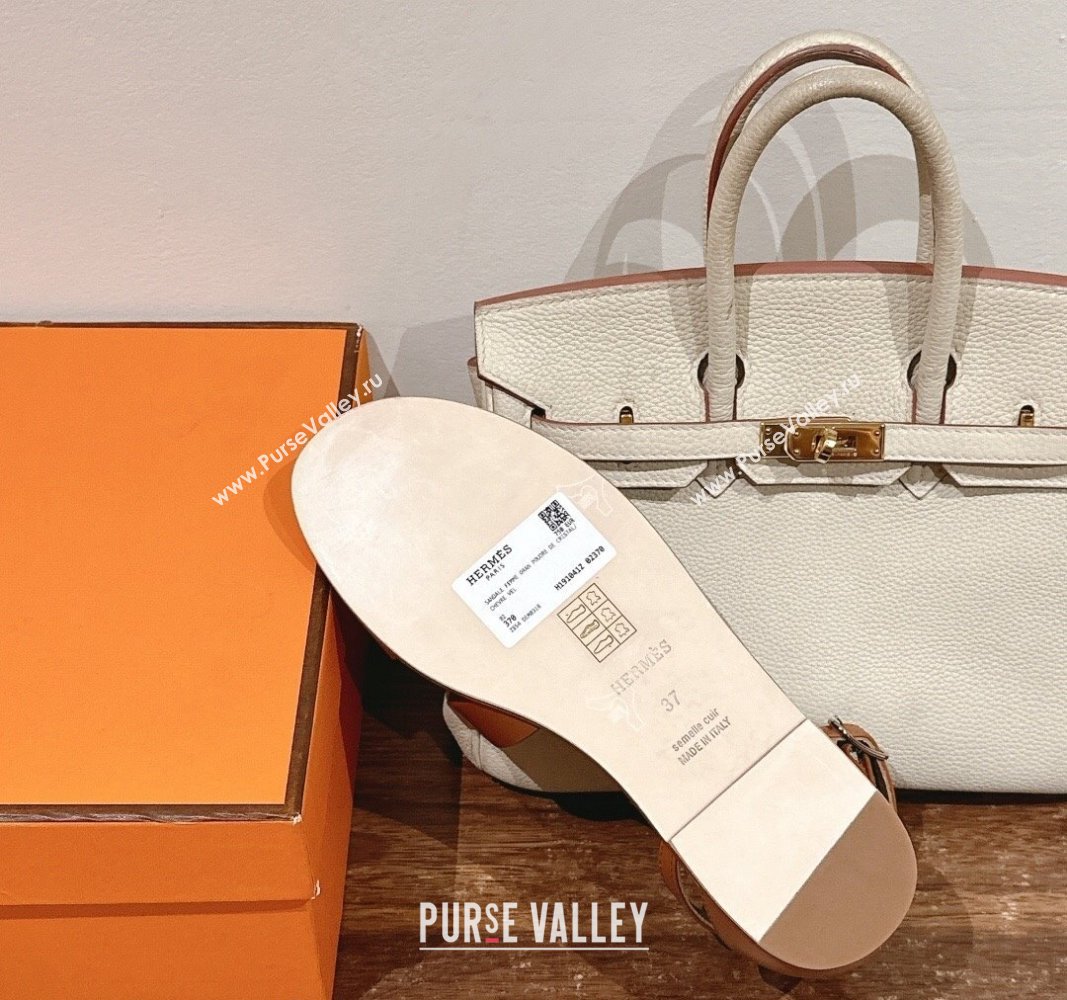 Hermes Santorini Flat Sandals in Smooth Calfskin Brown 2024 H090901 (MD-240909019)