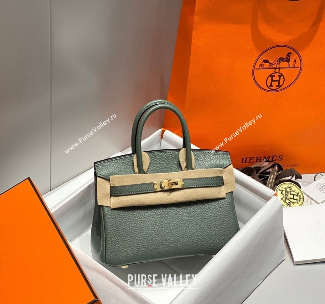 Hermes Mini Birkin 20cm bag with Shoulder Strap in Togo Leather Amande Green/Gold 2024 (FLB-240925029)