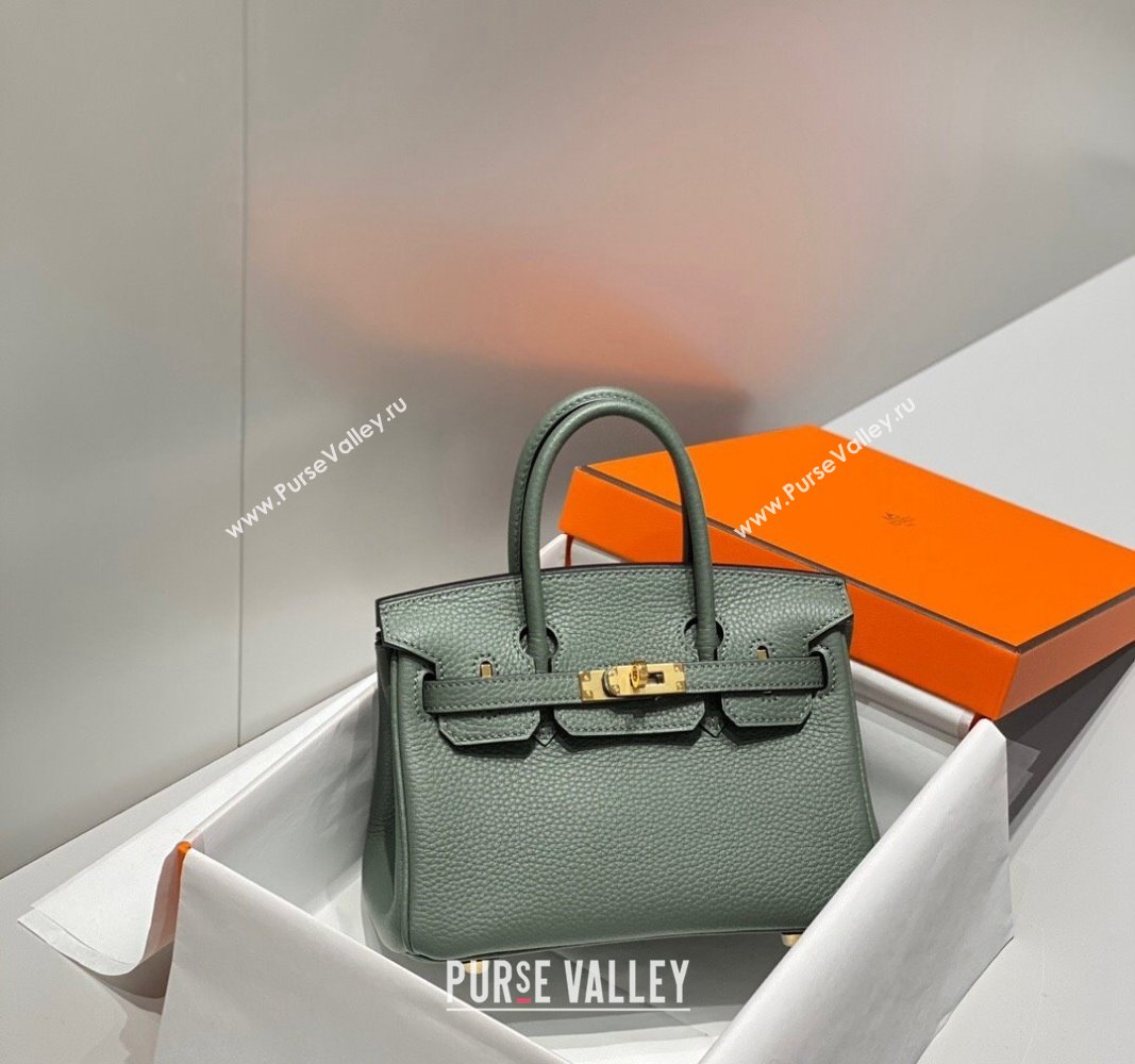Hermes Mini Birkin 20cm bag with Shoulder Strap in Togo Leather Amande Green/Gold 2024 (FLB-240925029)