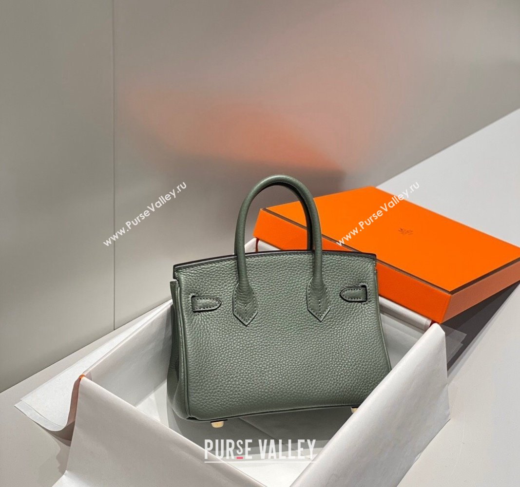 Hermes Mini Birkin 20cm bag with Shoulder Strap in Togo Leather Amande Green/Gold 2024 (FLB-240925029)