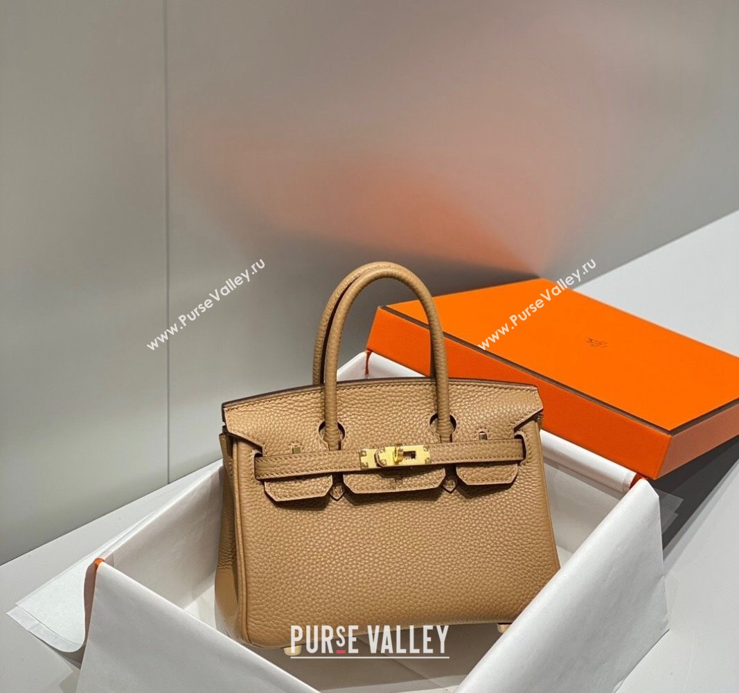 Hermes Mini Birkin 20cm bag with Shoulder Strap in Togo Leather Milky Tea Beige 2024 (FLB-240925030)