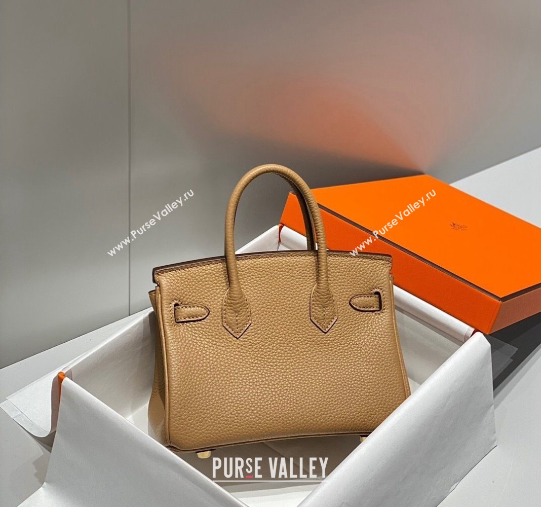 Hermes Mini Birkin 20cm bag with Shoulder Strap in Togo Leather Milky Tea Beige 2024 (FLB-240925030)