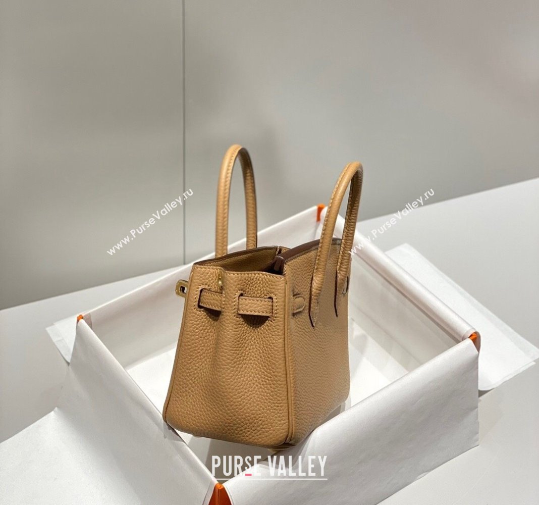 Hermes Mini Birkin 20cm bag with Shoulder Strap in Togo Leather Milky Tea Beige 2024 (FLB-240925030)