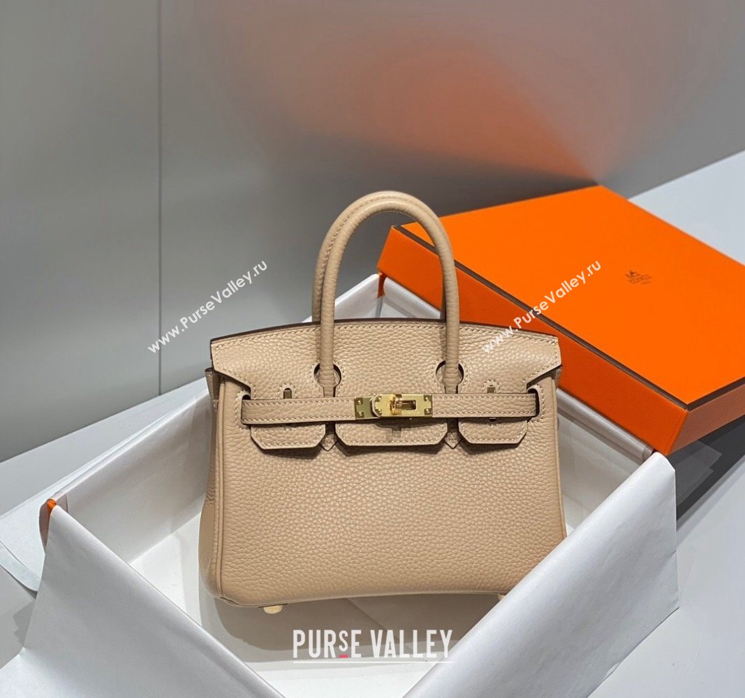 Hermes Mini Birkin 20cm bag with Shoulder Strap in Togo Leather Coat Grey 2024 (FLB-240925034)