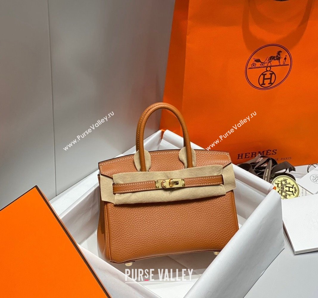 Hermes Mini Birkin 20cm bag with Shoulder Strap in Togo Leather Brown 2024 (FLB-240925037)