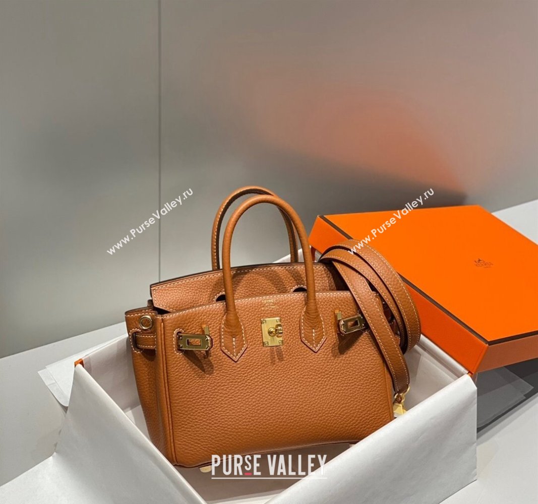 Hermes Mini Birkin 20cm bag with Shoulder Strap in Togo Leather Brown 2024 (FLB-240925037)