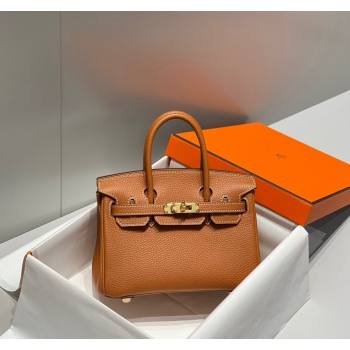 Hermes Mini Birkin 20cm bag with Shoulder Strap in Togo Leather Brown 2024 (FLB-240925037)