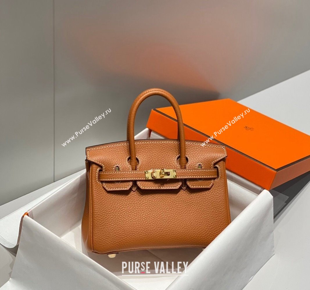 Hermes Mini Birkin 20cm bag with Shoulder Strap in Togo Leather Brown 2024 (FLB-240925037)