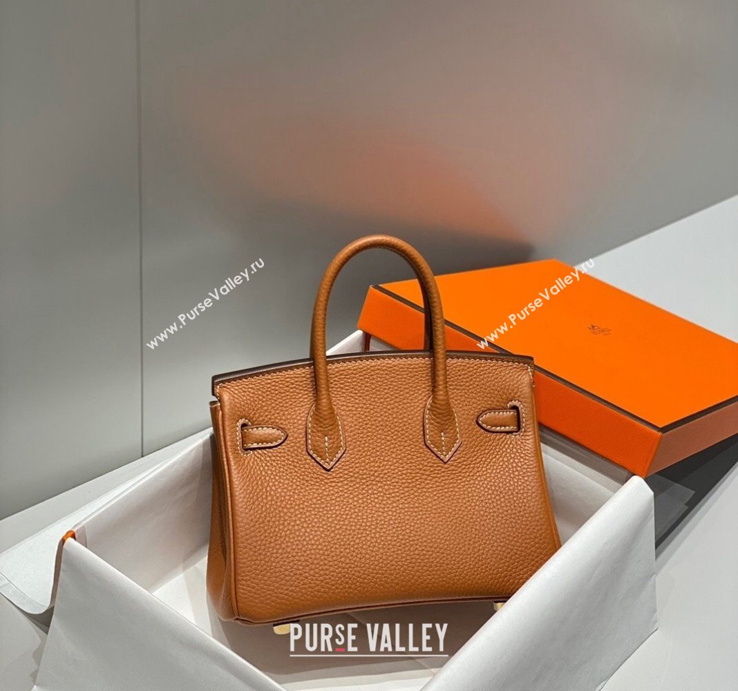 Hermes Mini Birkin 20cm bag with Shoulder Strap in Togo Leather Brown 2024 (FLB-240925037)