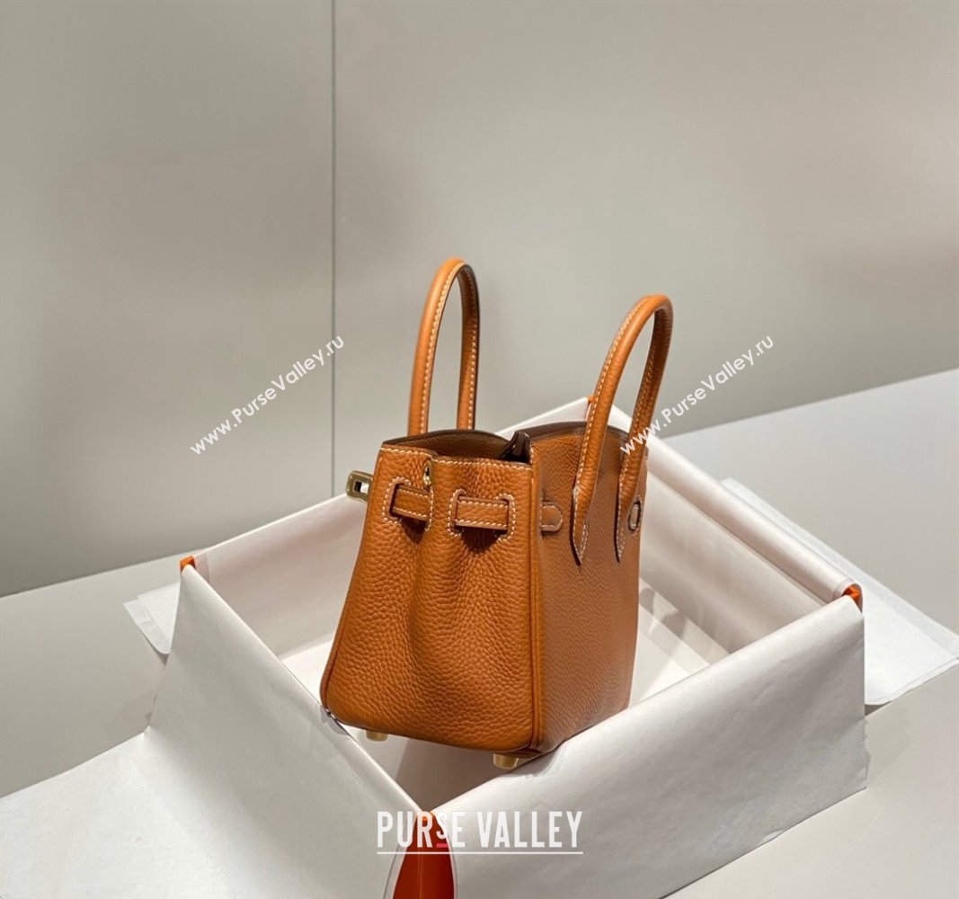 Hermes Mini Birkin 20cm bag with Shoulder Strap in Togo Leather Brown 2024 (FLB-240925037)