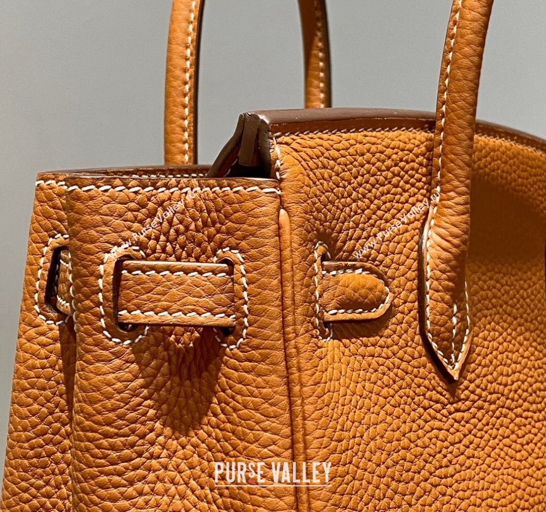 Hermes Mini Birkin 20cm bag with Shoulder Strap in Togo Leather Brown 2024 (FLB-240925037)