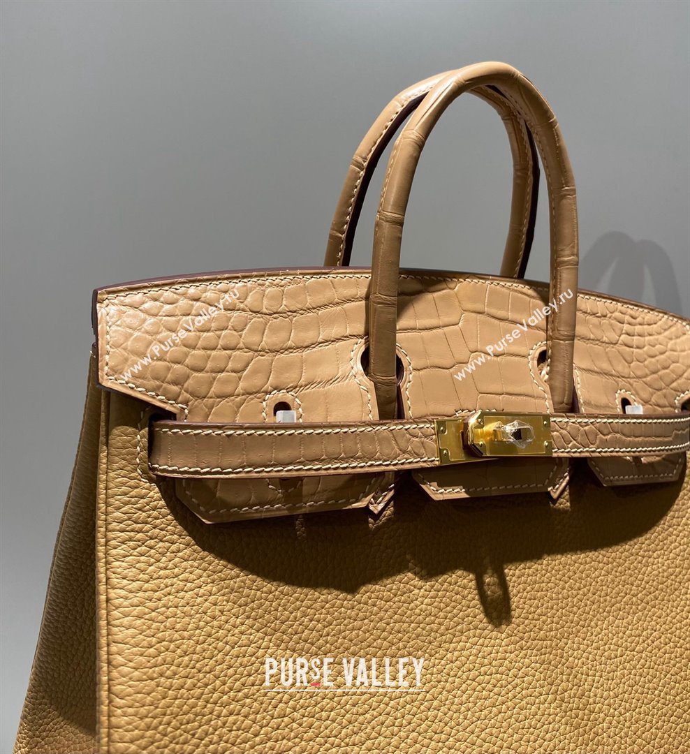 Hermes Birkin Touch Bag 25cm in Calfskin and Matte Nile Crocodile Leather Milky Tea Beige 2024 (Full Handmade) (FLB-241104065)