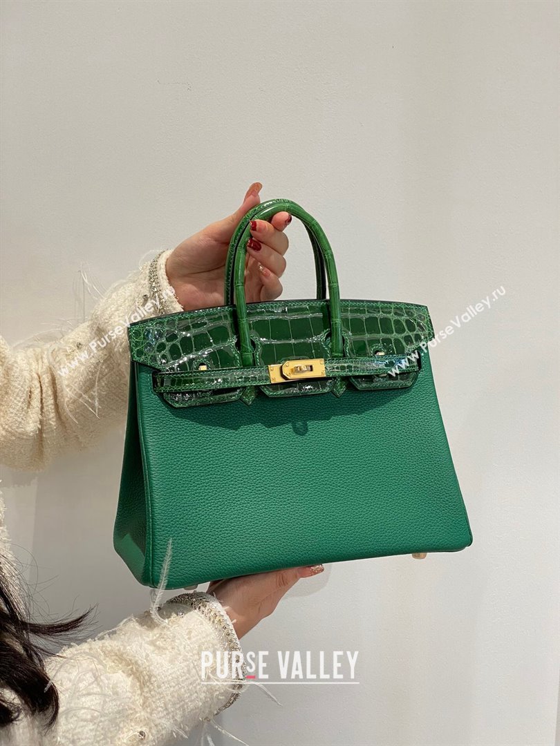 Hermes Birkin Touch Bag 25cm in Calfskin and Shiny Nile Crocodile Leather Emerald Green 2024 (Full Handmade) (FLB-241104069)