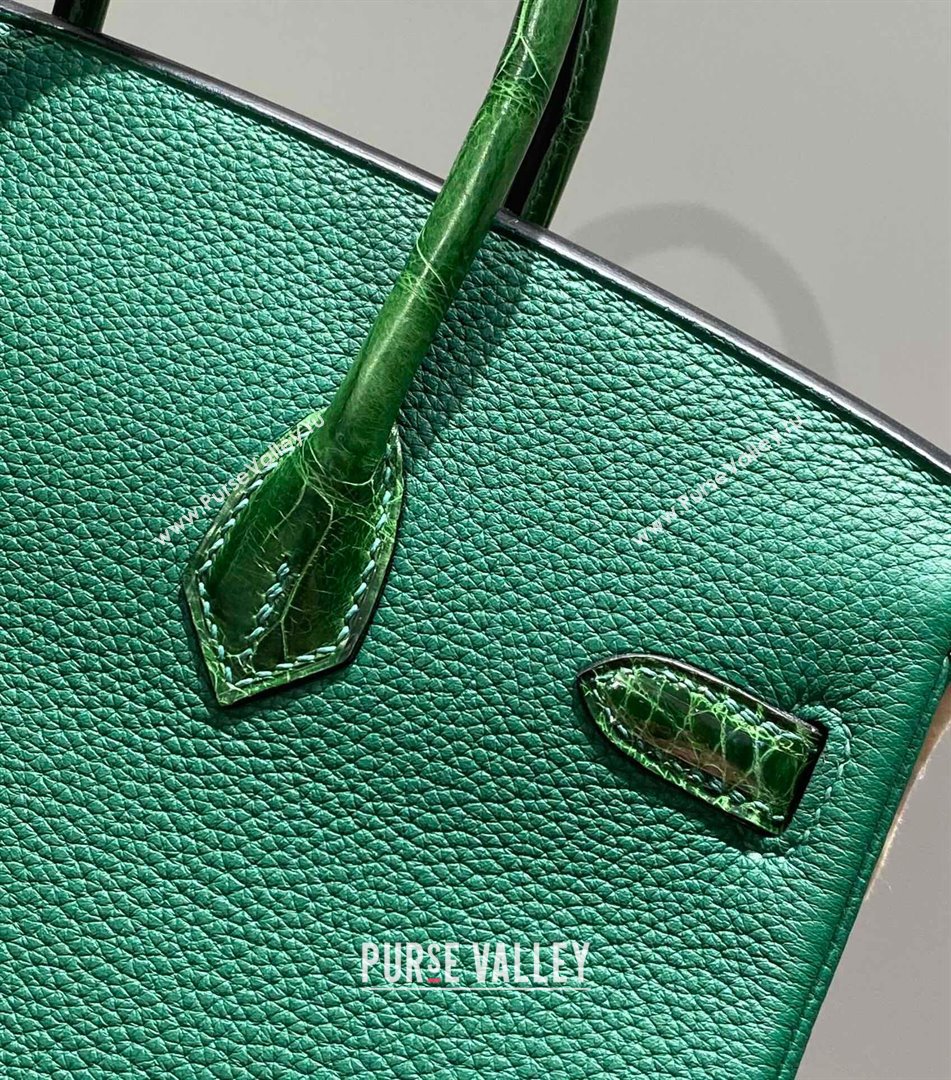 Hermes Birkin Touch Bag 25cm in Calfskin and Shiny Nile Crocodile Leather Emerald Green 2024 (Full Handmade) (FLB-241104069)