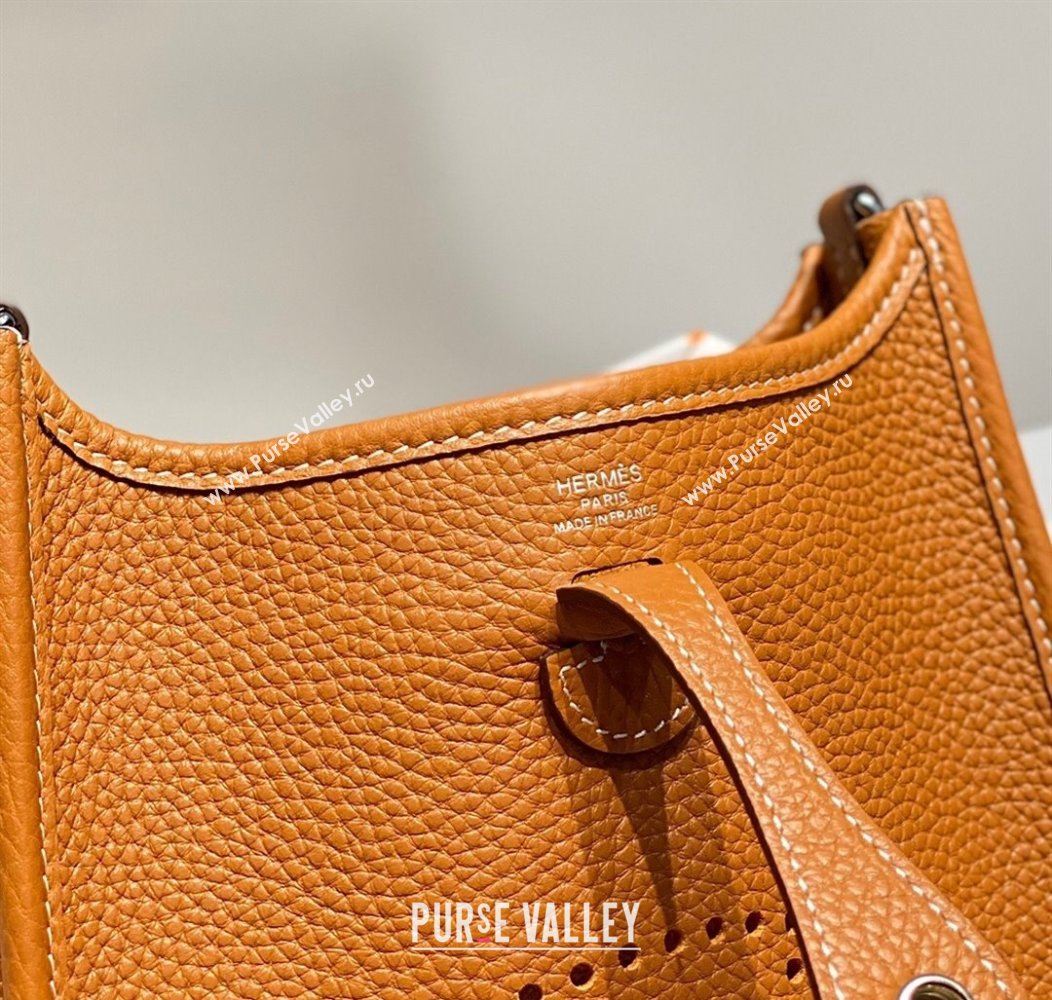 Hermes Evelyne Mini Bag 18cm in Togo Calfskin Golden Brown 2025 0118 (FL-250118029)