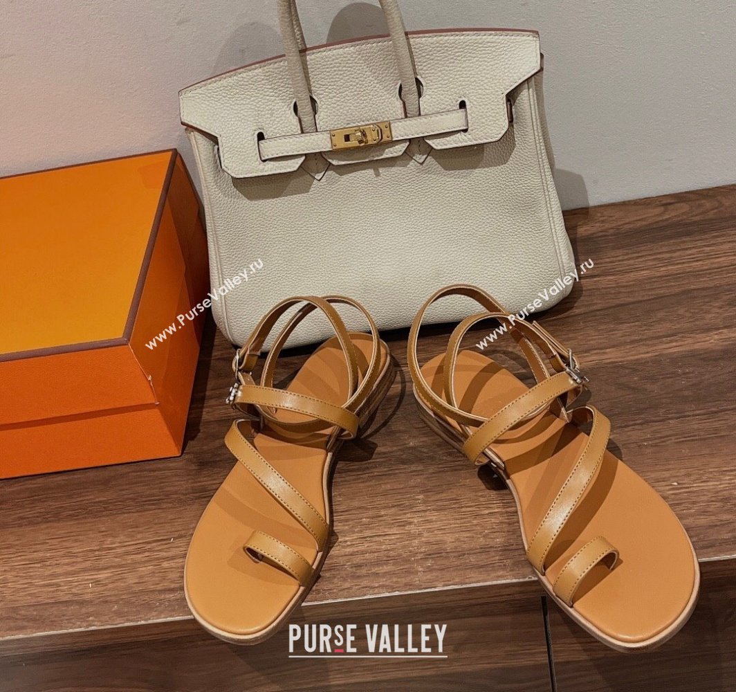 Hermes Harmonie Flat Sandals in Calfskin with Ankle Strap Brown 2025 (MD-250226099)