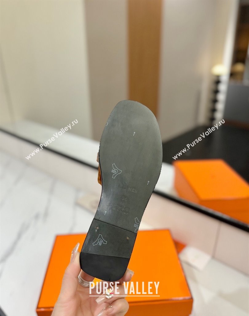 Hermes Giulia Flat Slides Sandal in Suede with Kelly Buckle Strap Brown 2025 0421 (MD-250421048)