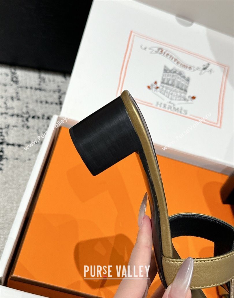 Hermes Classic Oasis Heel Slides Sandal 4.5cm in Shiny Calfskin Gold 07 2025 0606 (MD-250606102)