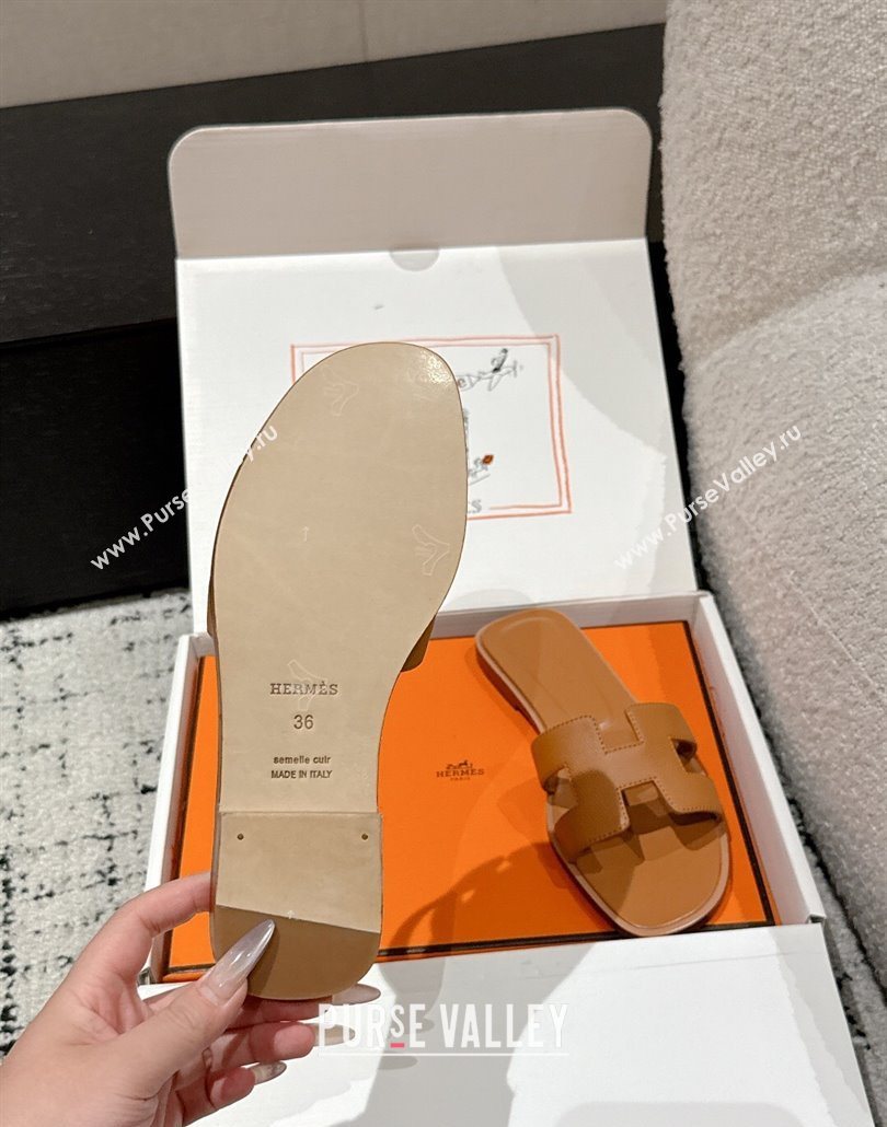 Hermes Classic Oran Flat Slides Sandal in Palm-Grained Leather Brown 08 2025 0606 (MD-250606151)