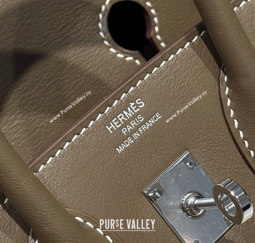 Hermes Birkin 25cm Bag in Canvas and Swift Calfskin with Silver Hardware Elephant Grey 2025 (Half Handmade) (FL-250701086)