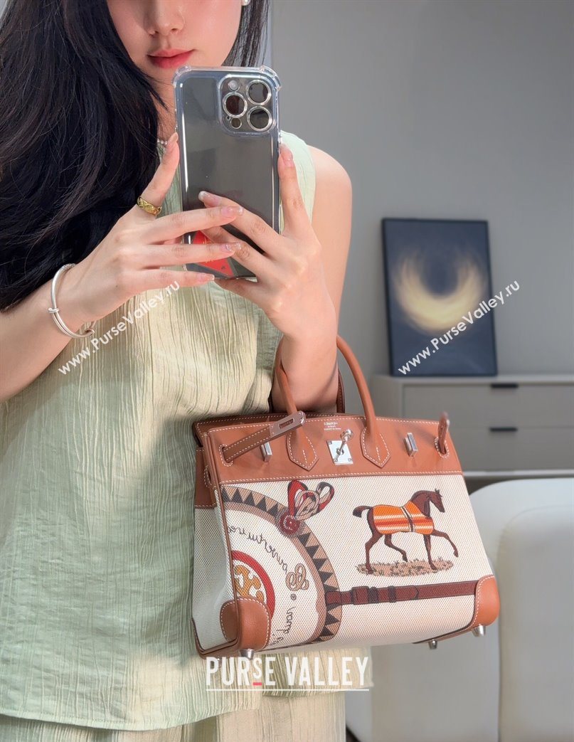 Hermes Birkin 25cm Bag in Printed Canvas and Swift Calfskin with Silver Hardware Brown 2025 (Half Handmade) (FL-250701096)