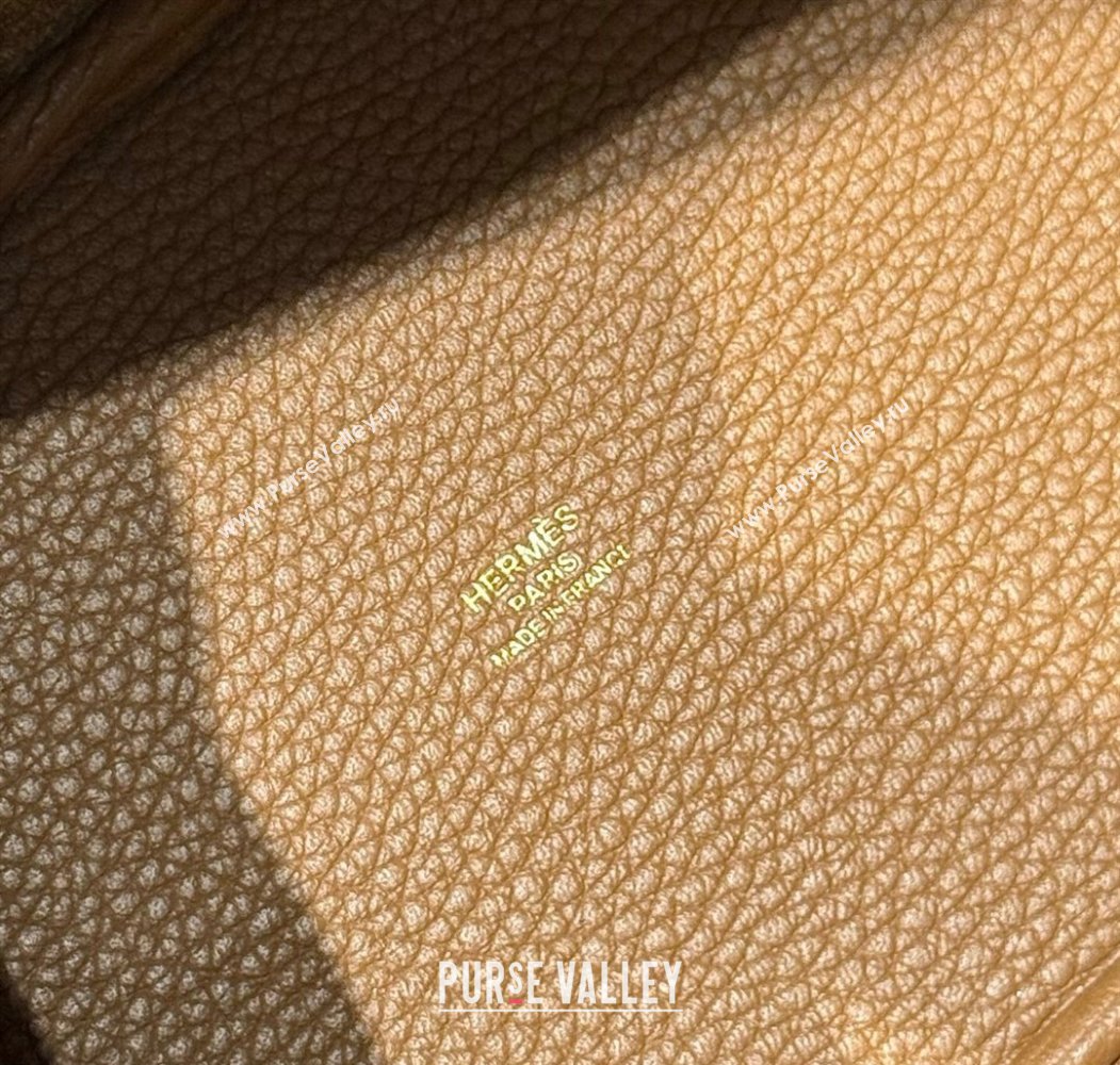 Hermes Picotin Lock Mini Bag 18cm in Togo Calfskin Leather Chestnut Brown 2025 (FL-250809010)