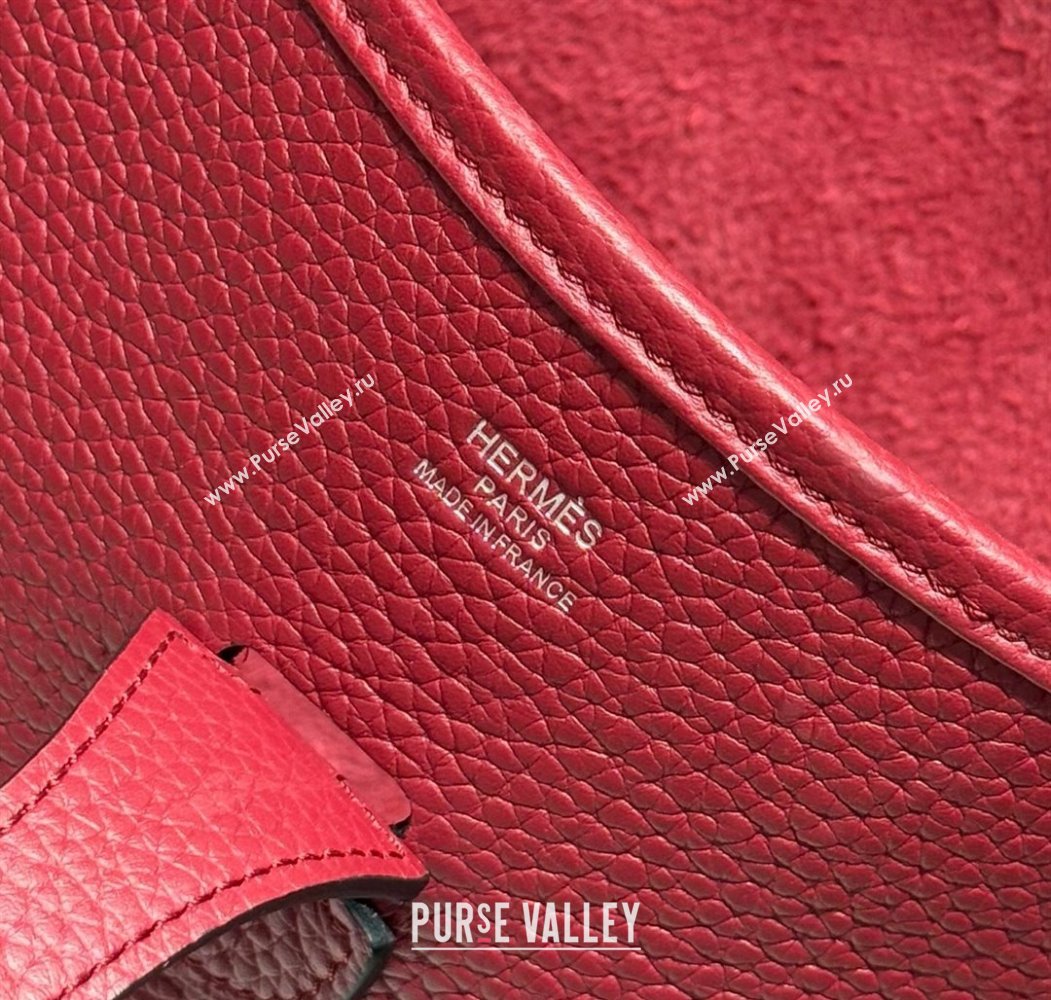 Hermes Evelyne Bag 29cm in Togo Calfskin Leather Stone Red 2025 (FL-250808114)