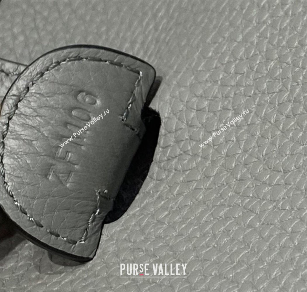 Hermes Evelyne Bag 29cm in Togo Calfskin Leather Cloud Grey 2025 (FL-250808128)