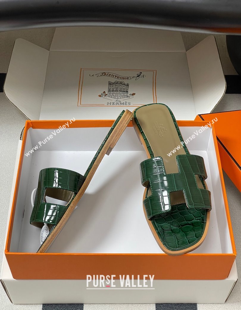 Hermes Oran Classic Flat Slides Sandal in Crocodile Embossed Calfskin Green 2025 H081803 (MD-250819056)