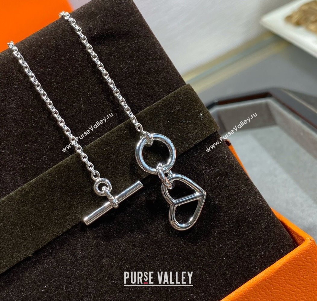 Hermes Cache-Coeur Amulette Pendant Necklace Silver 2025 (YF-250917028)