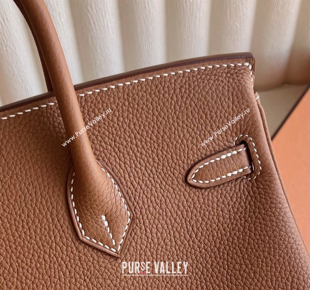 Hermes Birkin 25cm Bag in Togo Calfskin Leather Brown/Gold 2025 (Full Handmade) (XY-251125053)