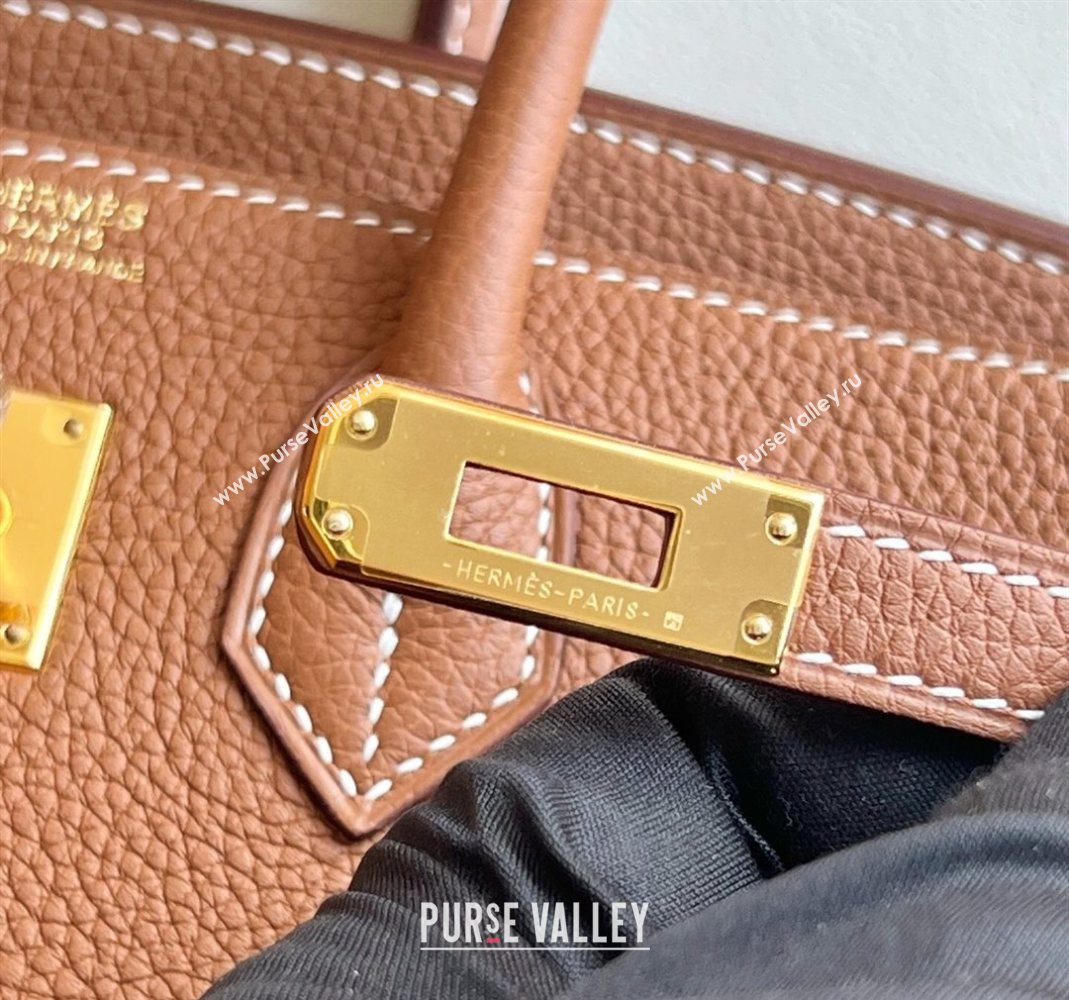 Hermes Birkin 25cm Bag in Togo Calfskin Leather Brown/Gold 2025 (Full Handmade) (XY-251125053)