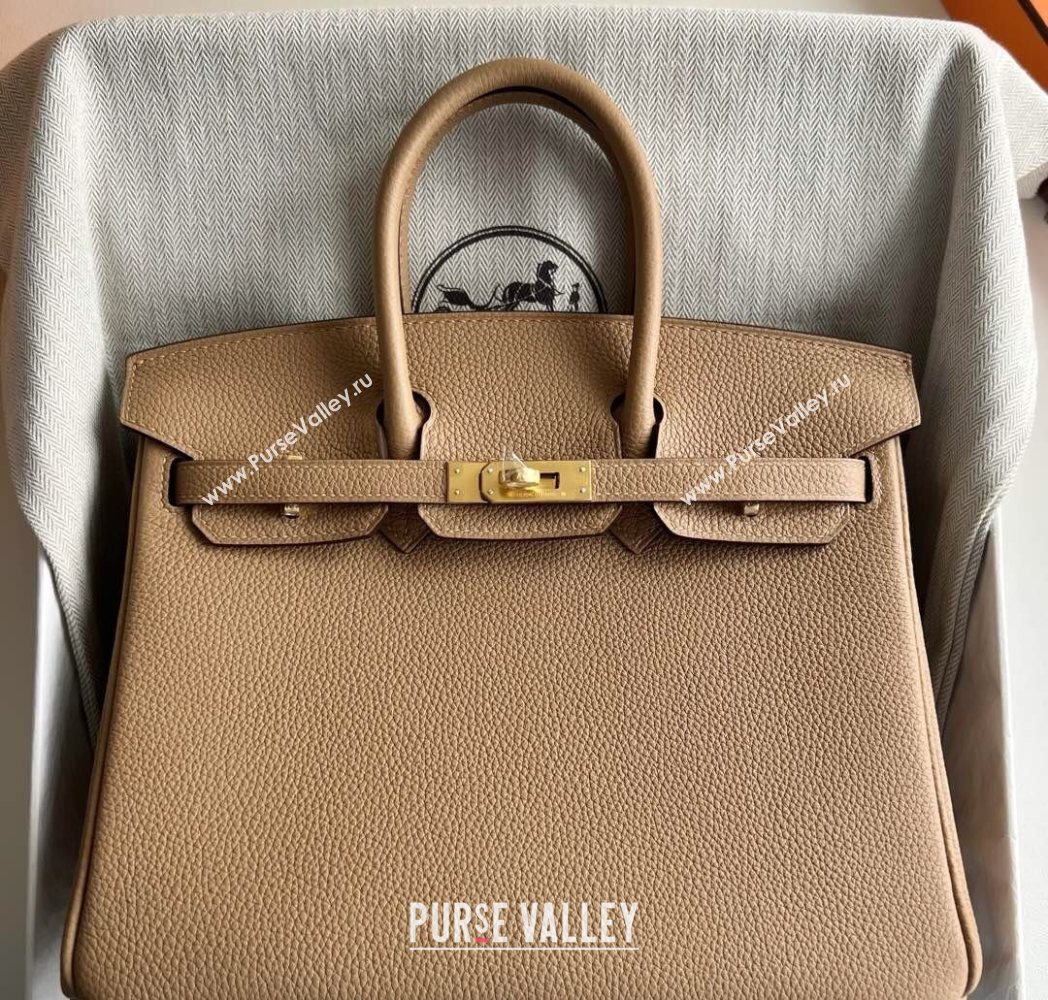 Hermes Birkin 25 Bag in Togo Calfskin Leather Milk Tea Beige 2025 (Full Handmade) (XY-251125055)