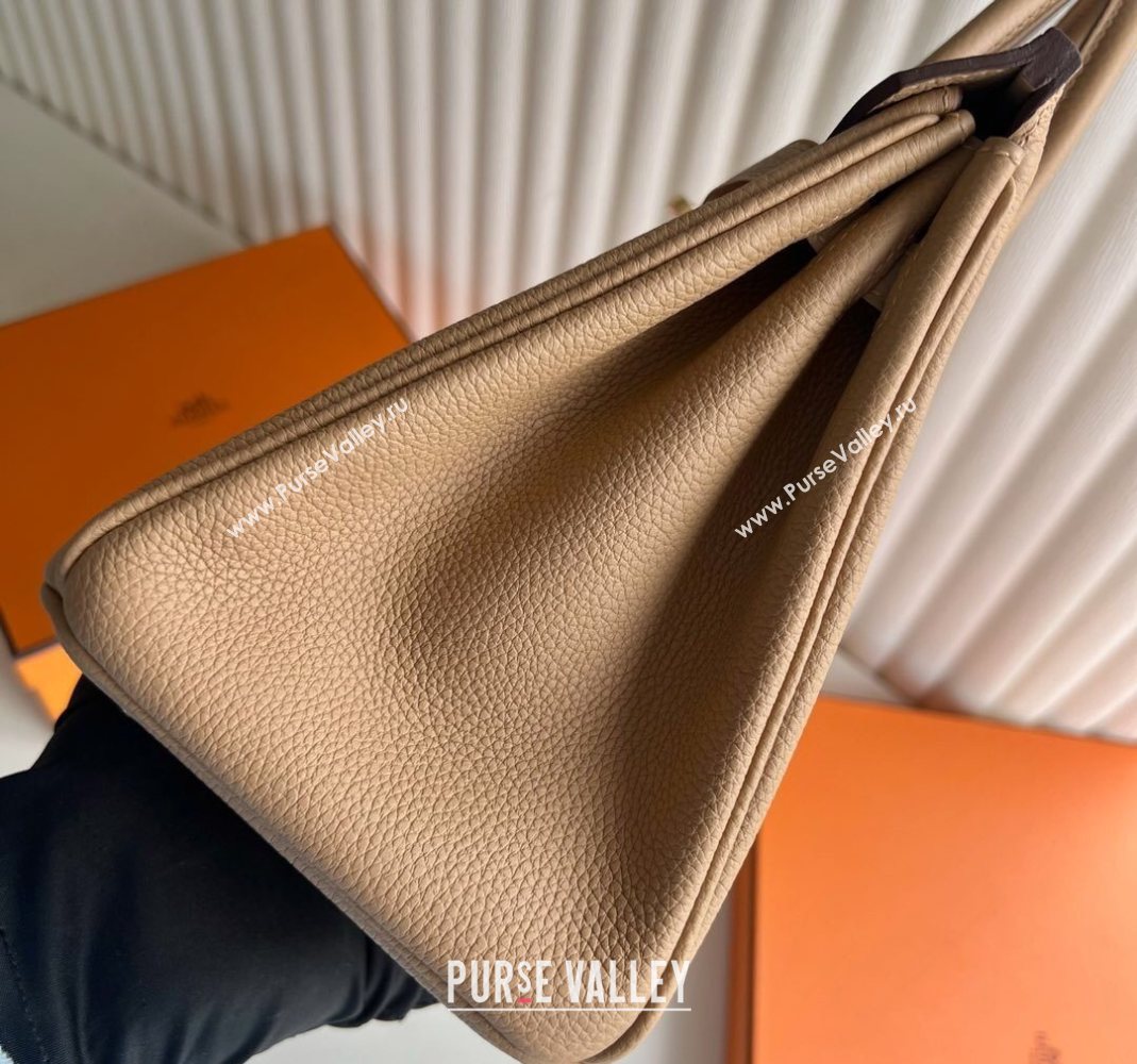 Hermes Birkin 25 Bag in Togo Calfskin Leather Milk Tea Beige 2025 (Full Handmade) (XY-251125055)