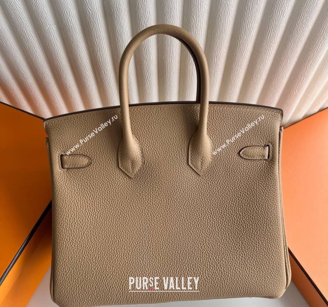 Hermes Birkin 25 Bag in Togo Calfskin Leather Milk Tea Beige 2025 (Full Handmade) (XY-251125055)