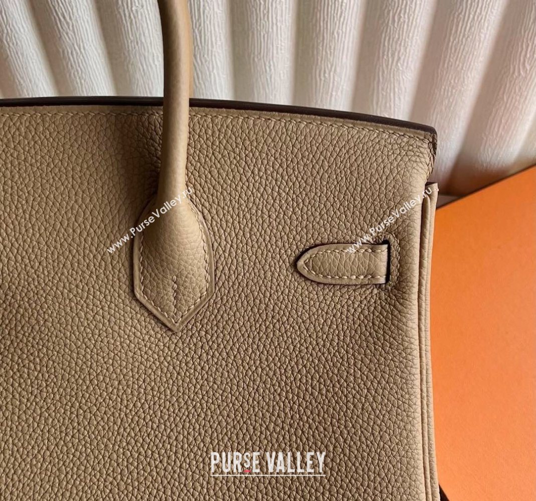 Hermes Birkin 25 Bag in Togo Calfskin Leather Milk Tea Beige 2025 (Full Handmade) (XY-251125055)