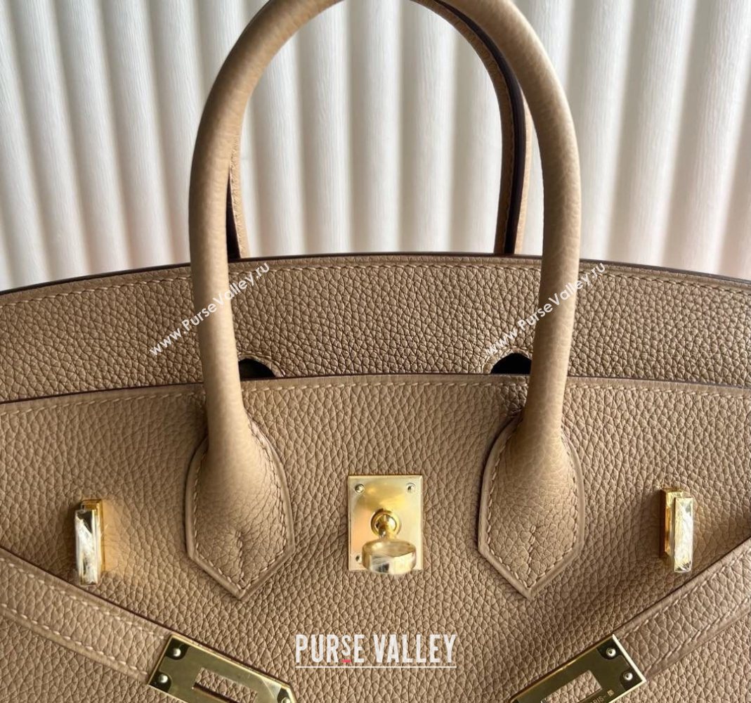 Hermes Birkin 25 Bag in Togo Calfskin Leather Milk Tea Beige 2025 (Full Handmade) (XY-251125055)