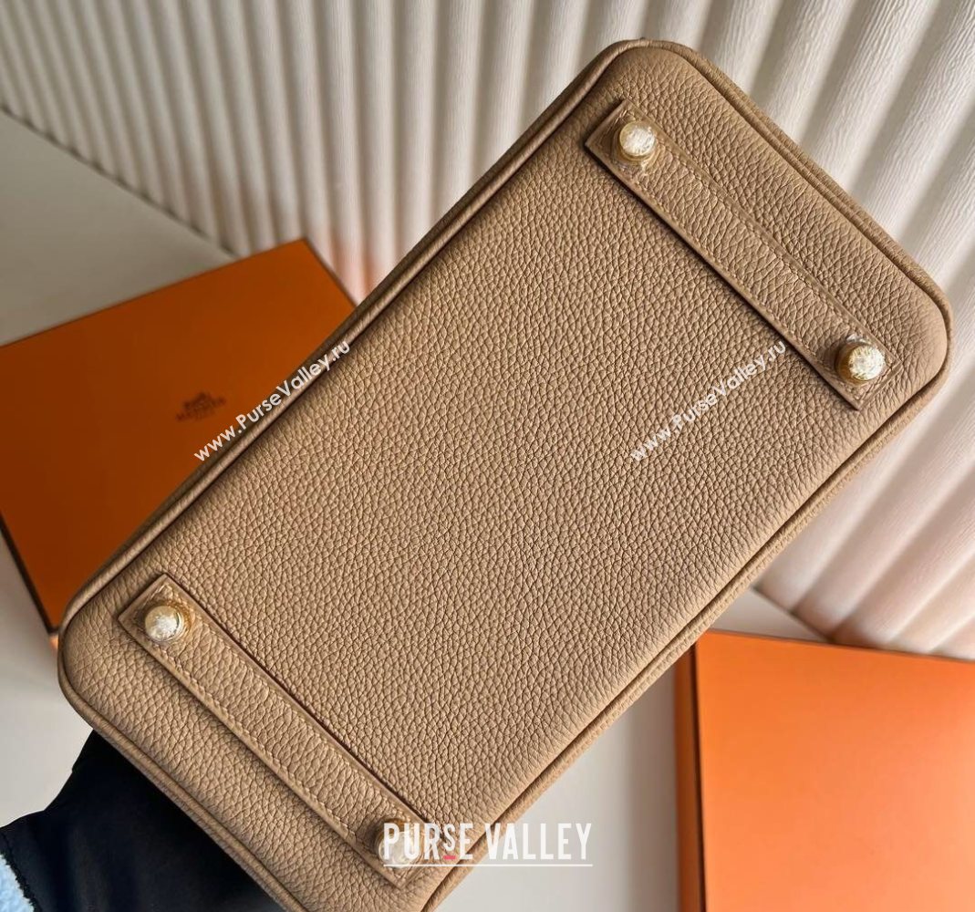 Hermes Birkin 25 Bag in Togo Calfskin Leather Milk Tea Beige 2025 (Full Handmade) (XY-251125055)
