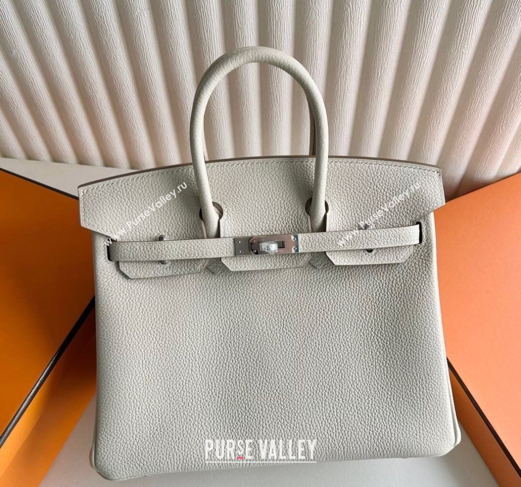Hermes Birkin 25 Bag in Togo Calfskin Leather Cream White/Silver 2025 (Full Handmade) (XY-251125056)