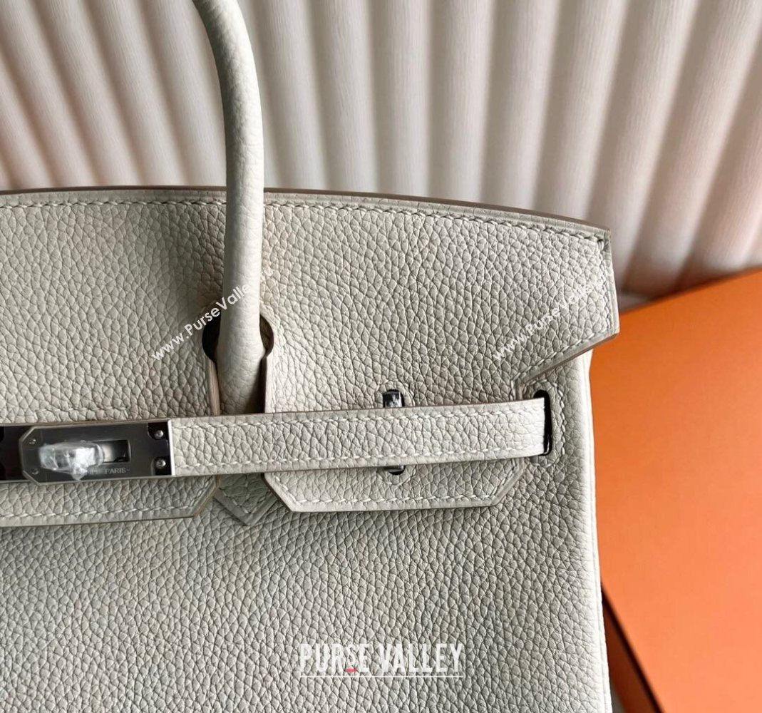 Hermes Birkin 25 Bag in Togo Calfskin Leather Cream White/Silver 2025 (Full Handmade) (XY-251125056)