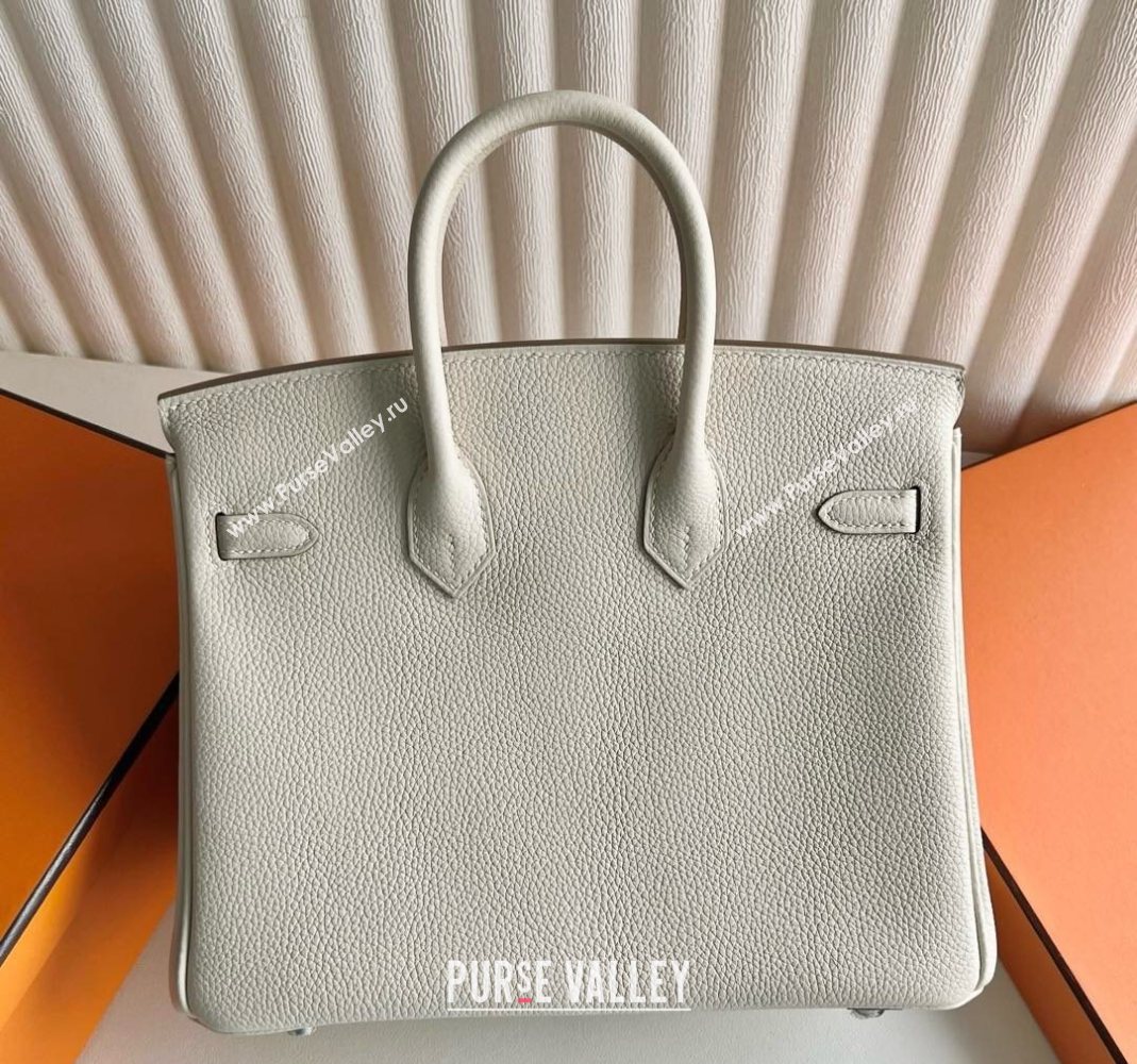 Hermes Birkin 25 Bag in Togo Calfskin Leather Cream White/Silver 2025 (Full Handmade) (XY-251125056)