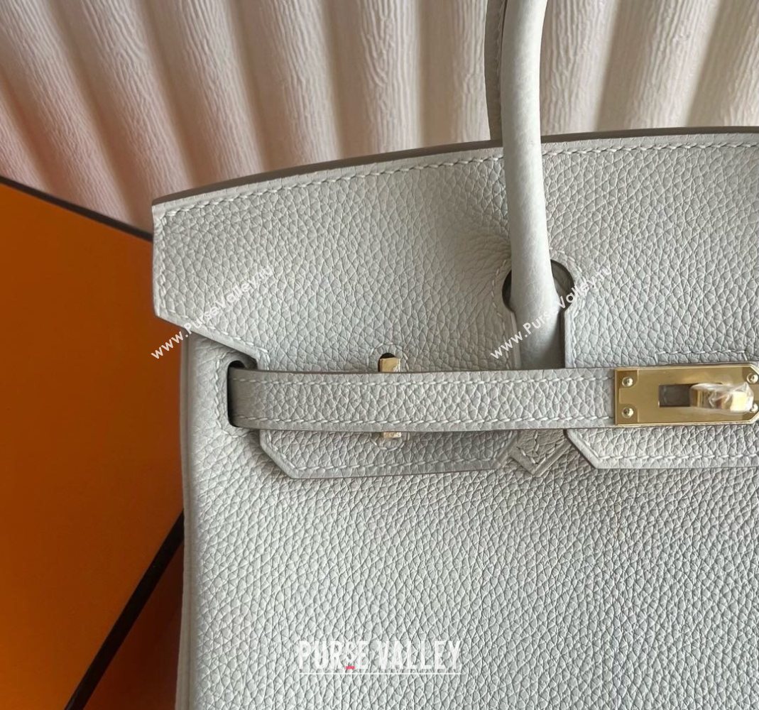 Hermes Birkin 25 Bag in Togo Calfskin Leather Cream White/Gold 2025 (Full Handmade) (XY-251125057)
