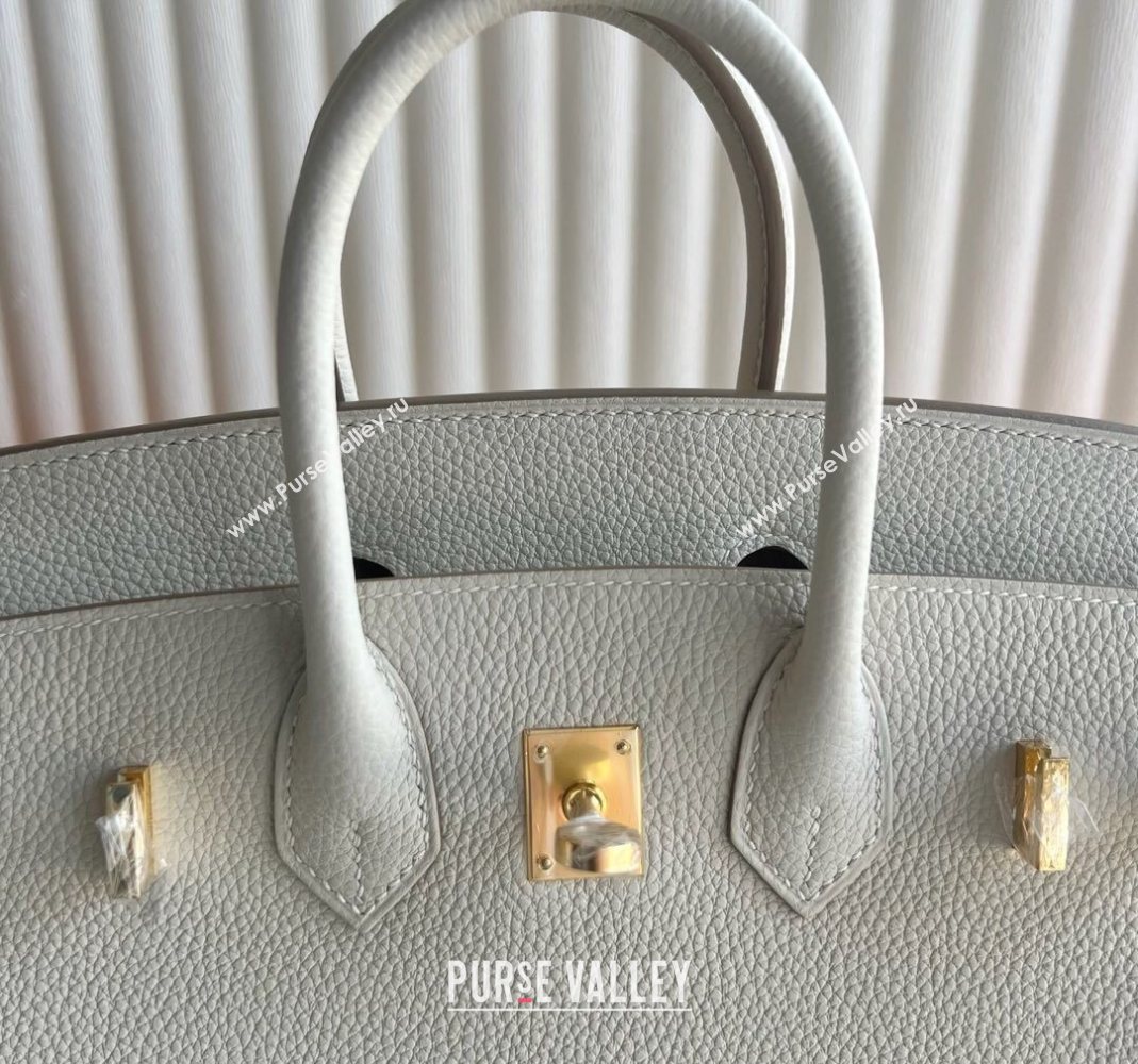 Hermes Birkin 25 Bag in Togo Calfskin Leather Cream White/Gold 2025 (Full Handmade) (XY-251125057)