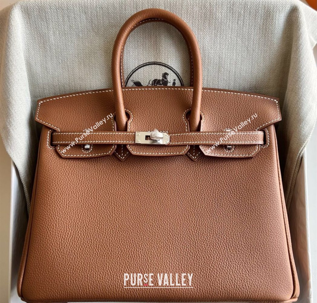 Hermes Birkin 25 Bag in Togo Calfskin Leather Brown/Silver 2025 (Full Handmade) (XY-251125058)