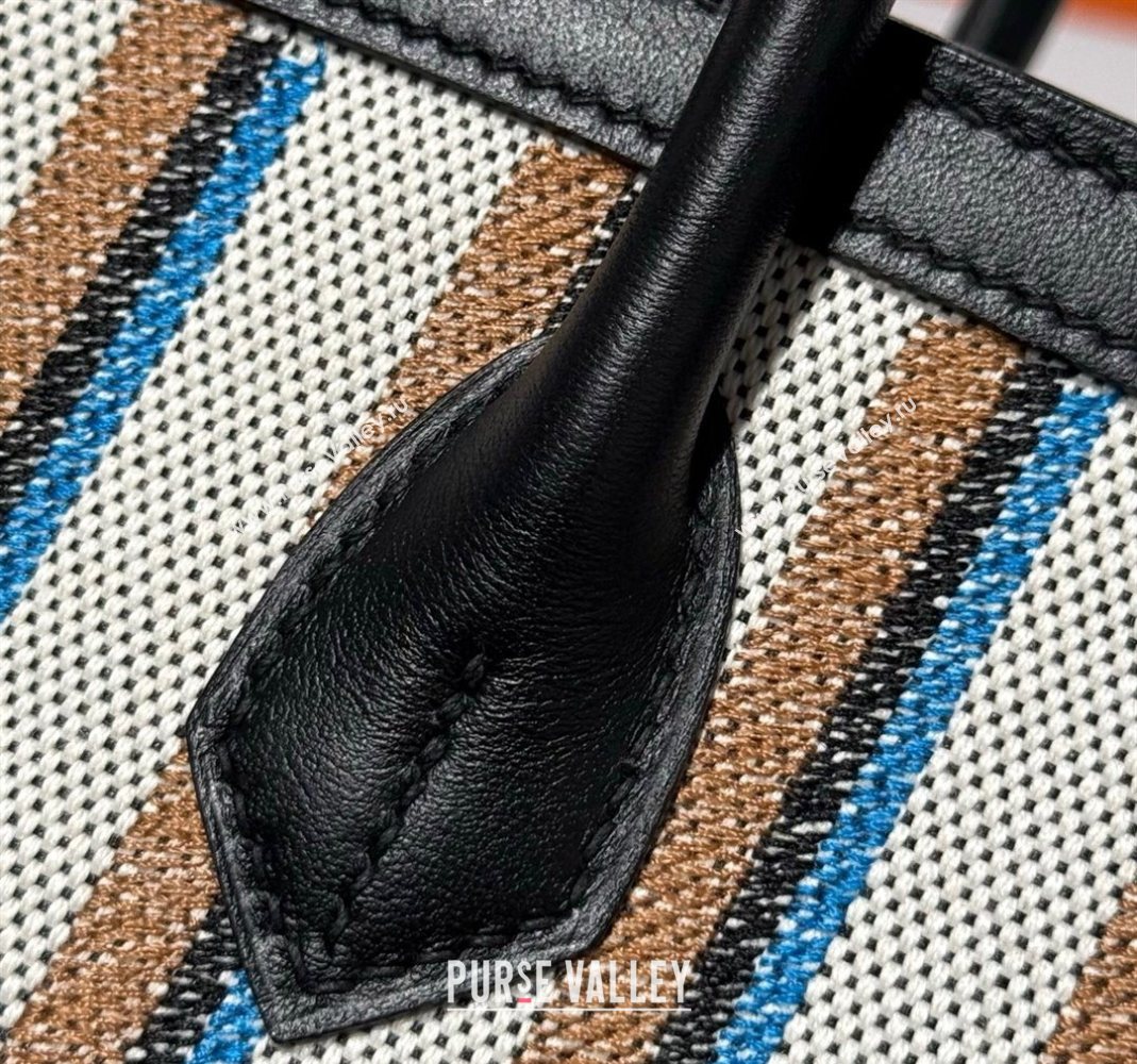 Hermes Mini Shoulder Birkin Bag 29cm in Canvas and Calfskin Leather Black/Silver 1 2025 (Half Handmade) (FLB-251125033)